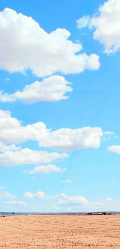 Sunny field with blue sky and clouds wallpaper.