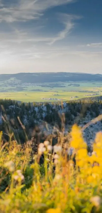 Wallpaper of a sunny landscape with fields and the horizon.