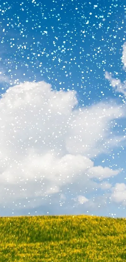 Sunlit field under blue sky with fluffy white clouds.