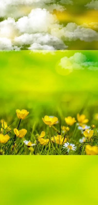 Vibrant landscape with yellow flowers and a green field under cloudy skies.