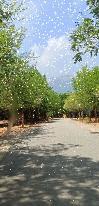 A sunlit road with falling petals creating a serene and scenic view.