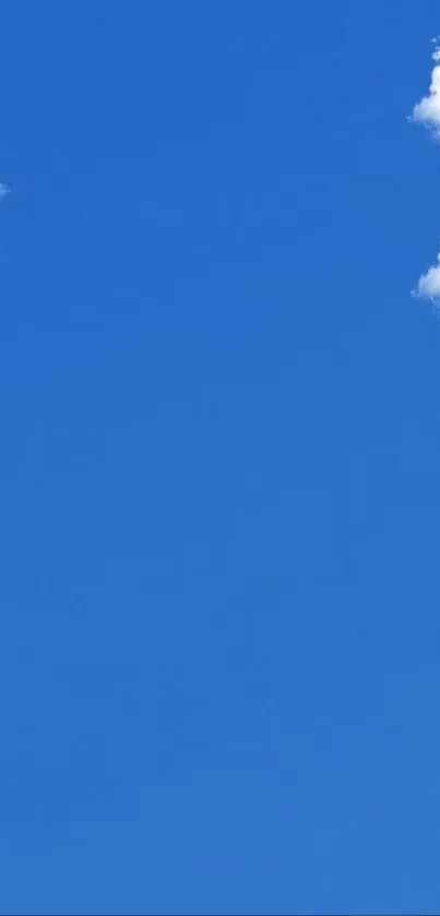 Clear blue sky with bright sun mobile wallpaper.