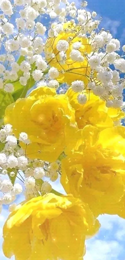 Yellow flowers and blue sky wallpaper, vibrant and sunny.