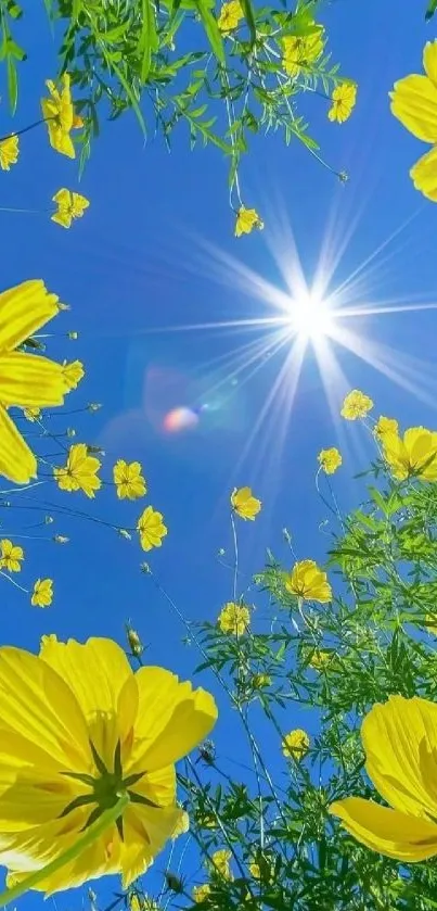 Yellow flowers against a vibrant blue sky with bright sunlight.