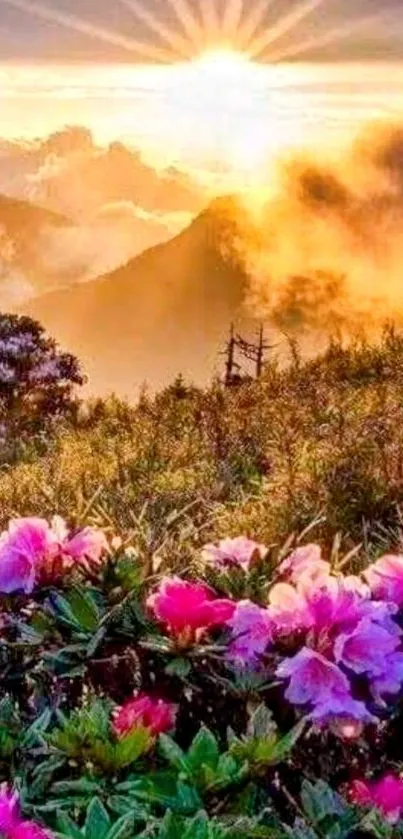 Sunrise over mountains with vibrant pink flowers.