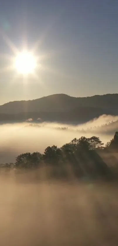 Sunrise casting golden light over misty hills and serene landscape.