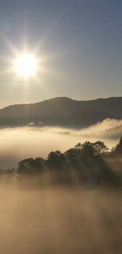 Sunrise over misty mountains with a warm, soothing glow.