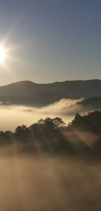 Sunrise over misty mountains with warm golden hues.