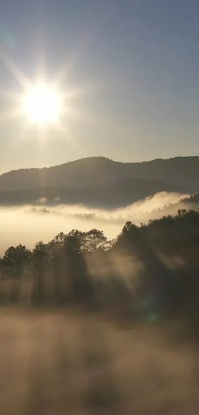 Serene sunrise over misty mountains with warm golden hues and soft light.