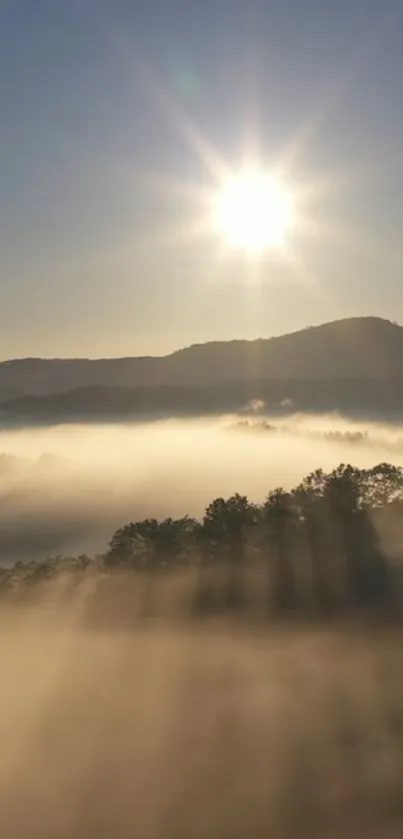 Sunrise over misty mountains with golden light.