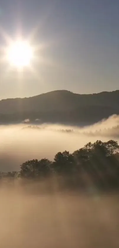 Wallpaper of a sunrise over misty mountains with golden hues.