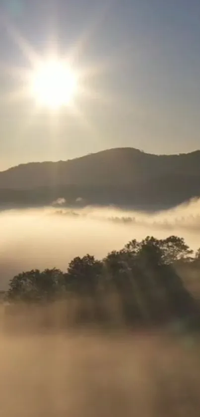 Golden sunrise over misty mountain landscape.