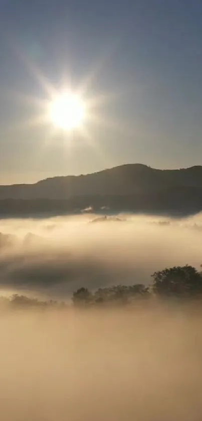 Sunrise over misty mountains with a tranquil view