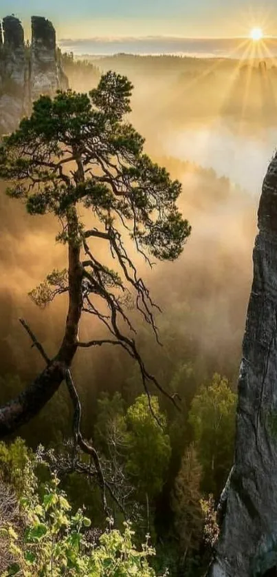 Sunrise over a misty mountain with a lone tree.