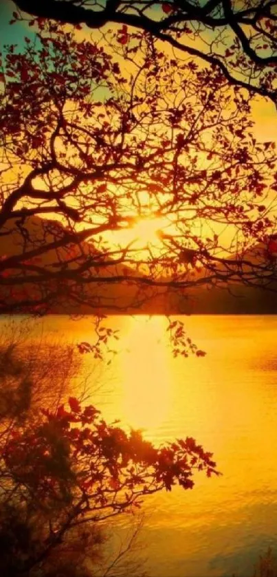 Beautiful sunrise over lake with tree silhouettes in golden hues.