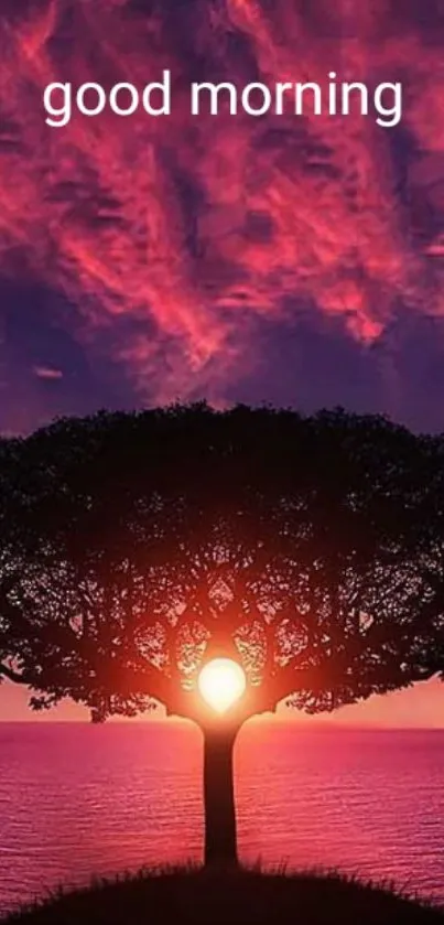 Mobile wallpaper of a sunrise with a tree silhouette.