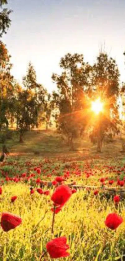 Vibrant meadow at sunset with trees and red flowers.