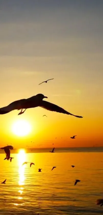 Seagulls soaring at sunset over a golden ocean view.