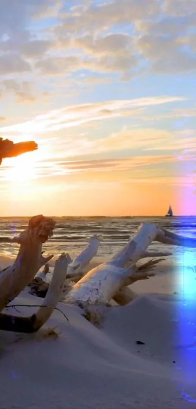 Driftwood on a beach during sunset with a sailboat on the horizon.