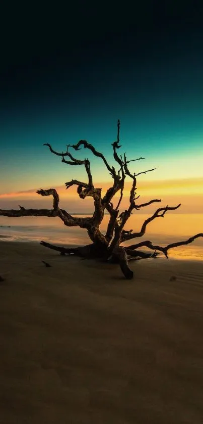 Serene sunset beach with driftwood silhouette over calm sea.