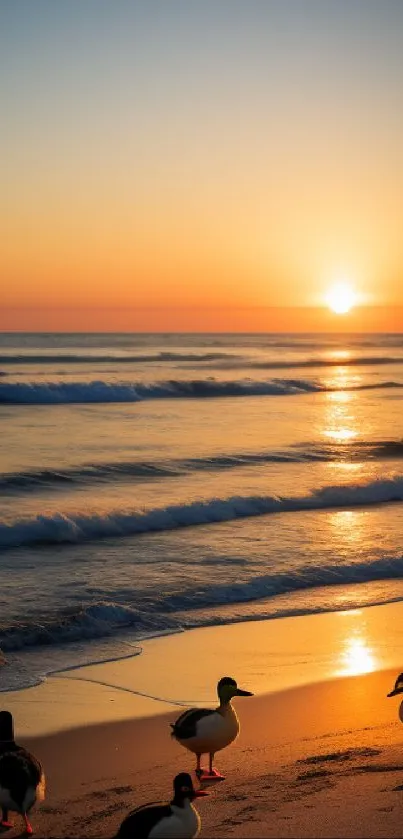 Peaceful sunset with ducks on tranquil beach.