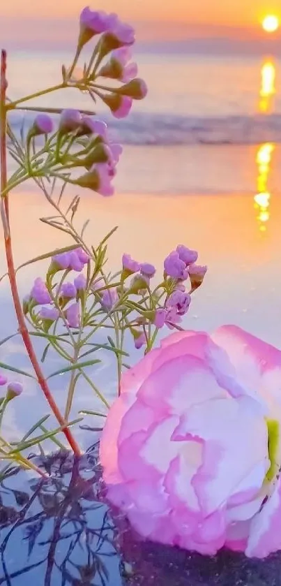 Pink flower on beach with sunset reflection.