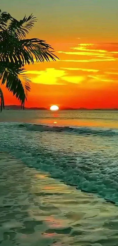 Tropical beach sunset wallpaper with vivid colors.