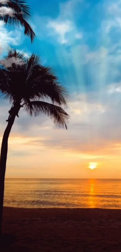 Sunset beach with palm trees and a colorful sky.