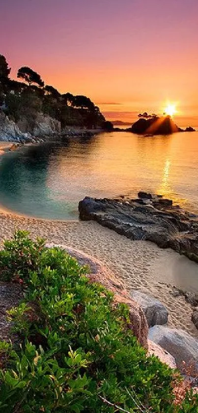 Vibrant sunset over a tranquil beach with lush greenery and clear ocean waves.