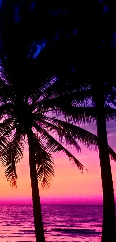 Tropical sunset wallpaper with palm silhouettes.