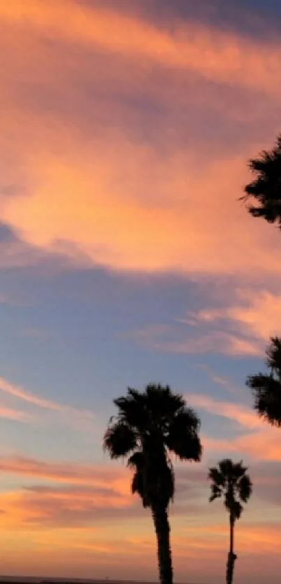 Sunset view with palm trees on a tranquil beach.