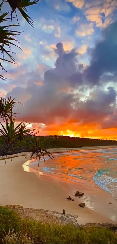 Vibrant sunset over a serene beach with lush foliage.