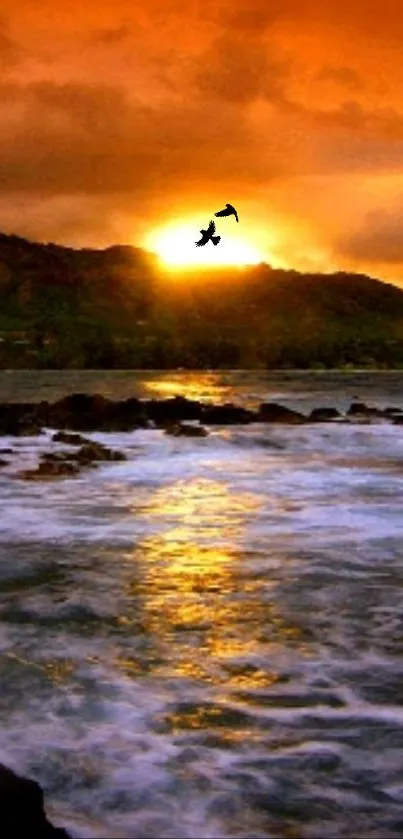 Vibrant orange sunset over ocean waves with silhouette of birds.