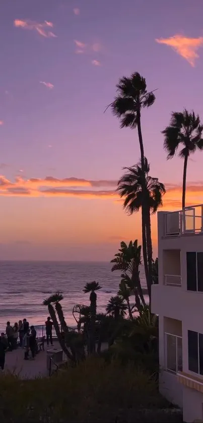 Stunning beach sunset with palm silhouettes and purple sky.