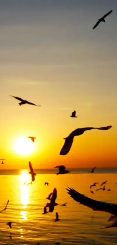 Silhouetted birds flying over a golden sunset beach.