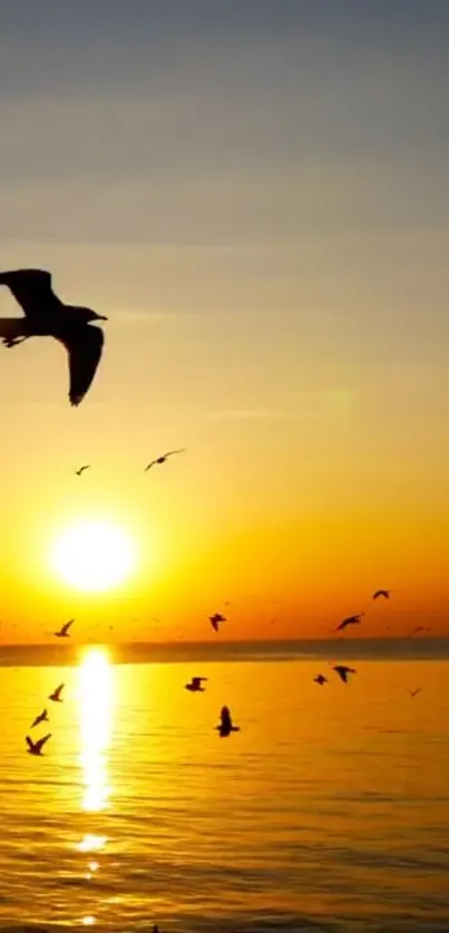 Flying birds silhouetted by a sunset over the ocean, casting golden reflections.