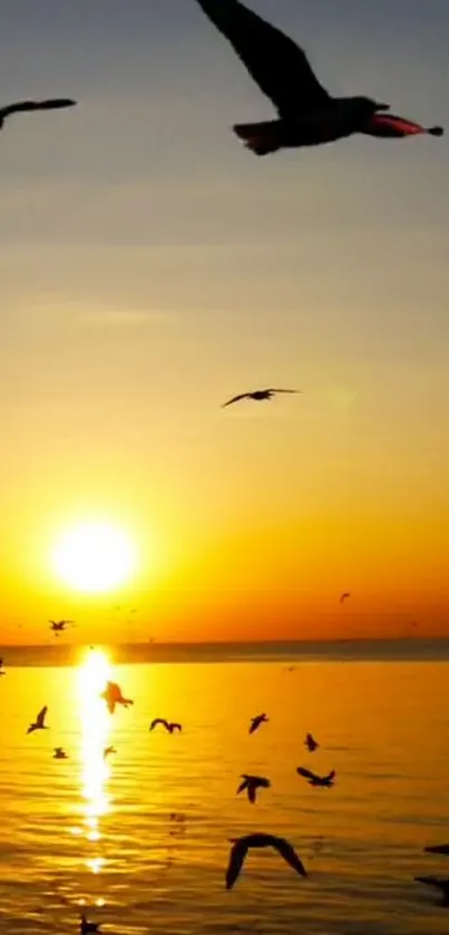 Silhouetted birds fly over ocean at sunset, with vibrant orange hues.