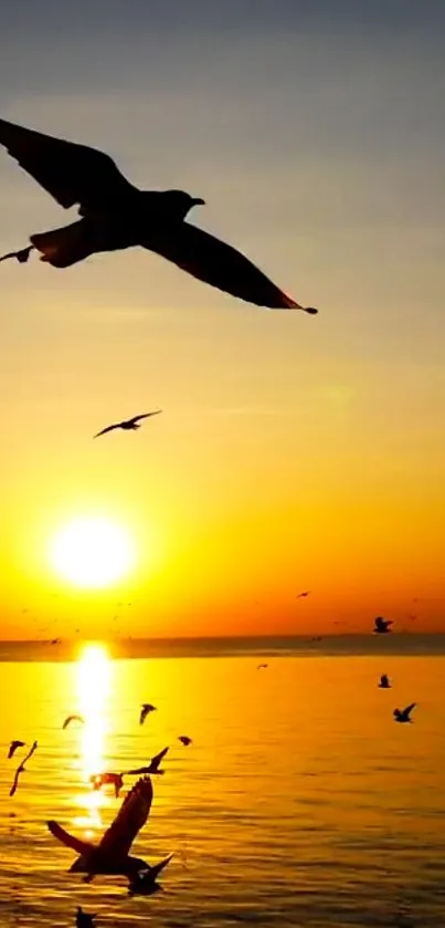 Birds flying over ocean at sunset, silhouetted against a vibrant orange sky.