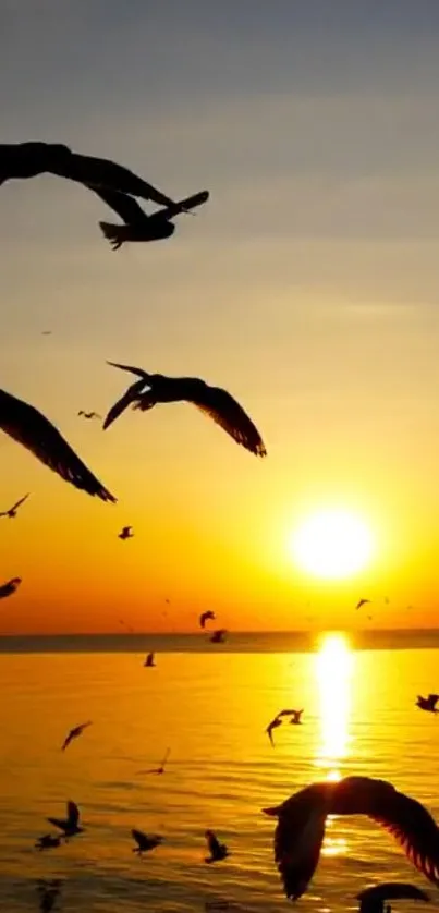 Bird silhouettes flying over ocean at sunset.