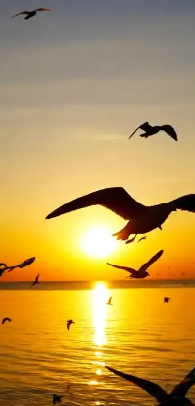 Silhouetted birds flying over the ocean at sunset with golden sky.