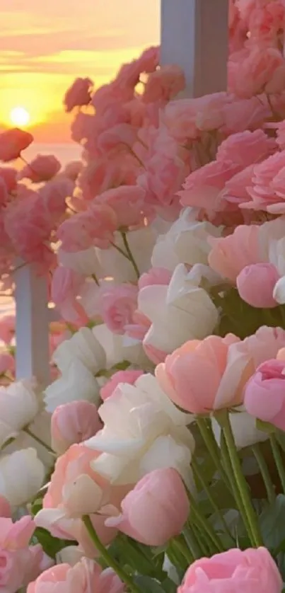 Blooming pink flowers with sunset background.