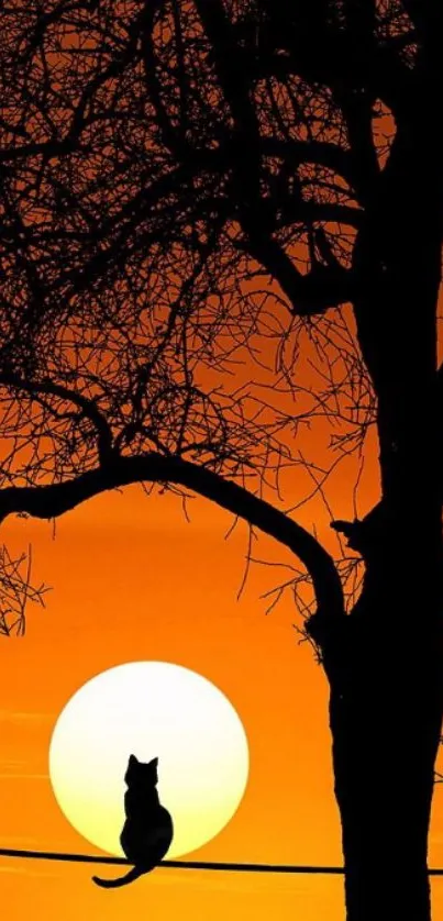 Cat silhouette on branch with vibrant sunset background.