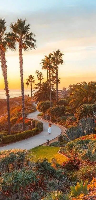 Stunning sunset view on a coastal path lined with palm trees and vibrant foliage.