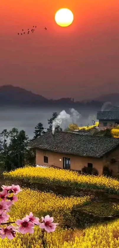 Vibrant sunset over rural countryside with blooming flowers and rustic house.