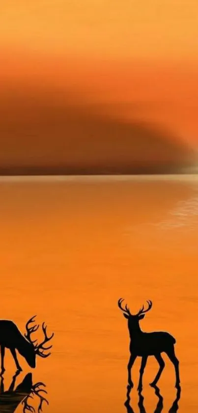 Deer silhouettes against an orange sunset reflected in calm water.