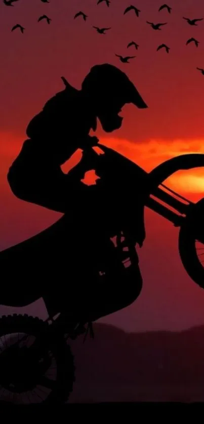 Silhouette of a motorcycle stunt against a vibrant sunset with flying birds.