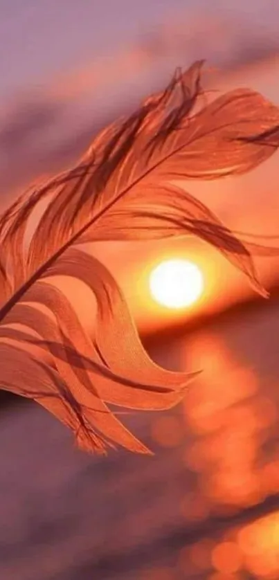 Feather silhouetted against an orange sunset on a mobile wallpaper.