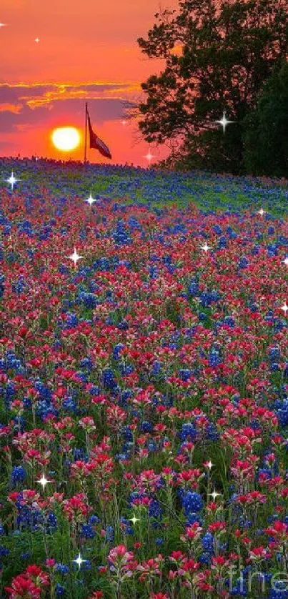 Orange sunset over a field of colorful wildflowers with trees in the background.