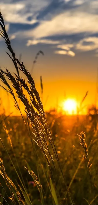 Sunset view over a sunlit field with colorful sky.