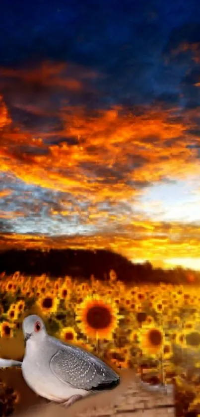 Sunset over a sunflower field with birds perched in the foreground.